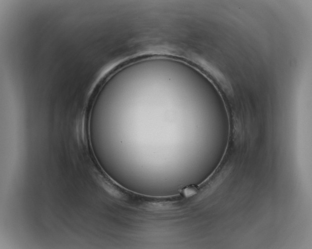 X0000111431272200907201101