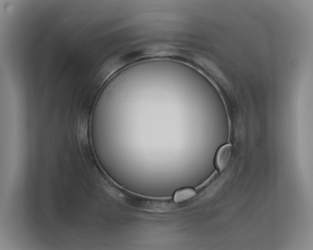 X0000111431273200907201101