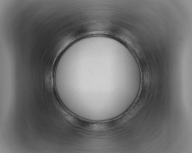 X0000111431274200907201101