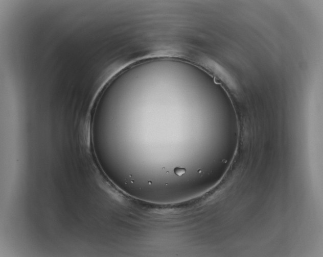 X0000111431276200907201101