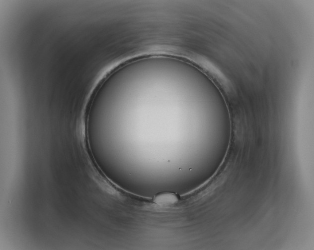 X0000111431280200907201101