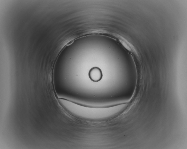 X0000111431281200907201101