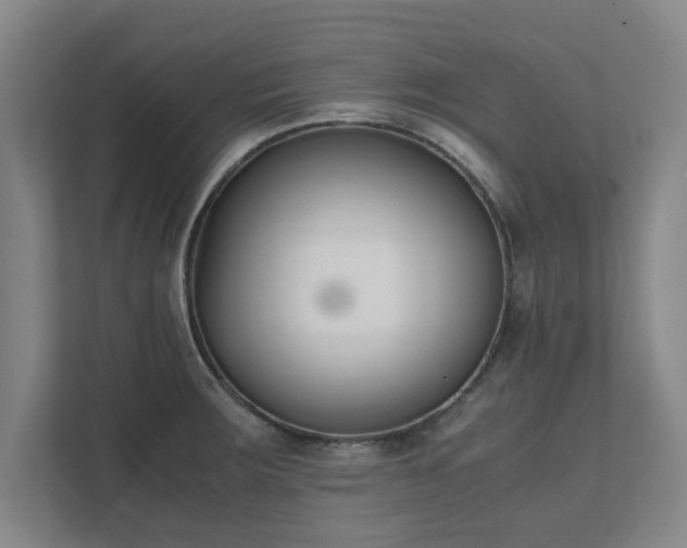 X0000111431283200907201101