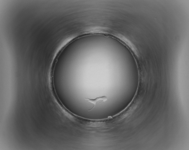 X0000111431285200907201101