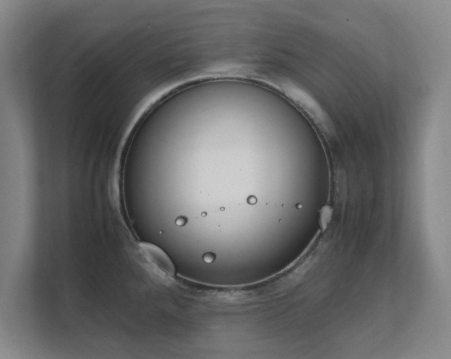 X0000111431288200907201101