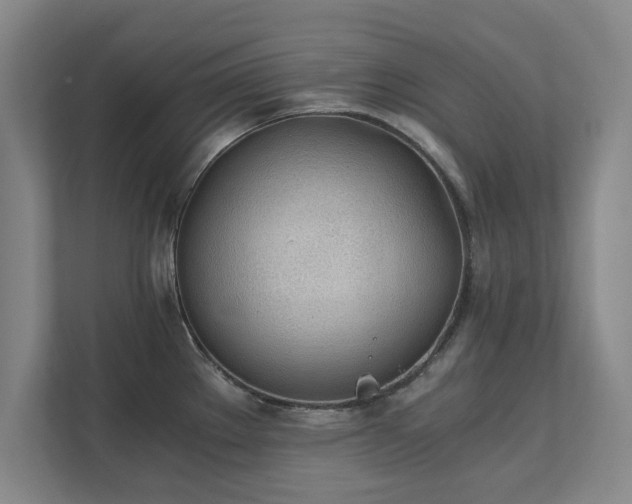 X0000111431289200907201101