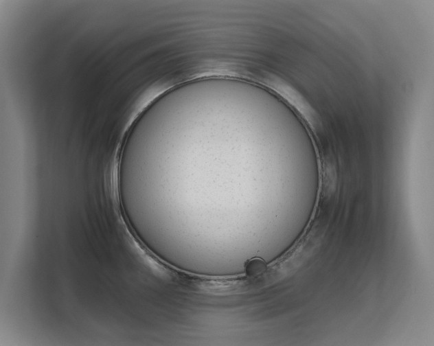 X0000111431290200907201101