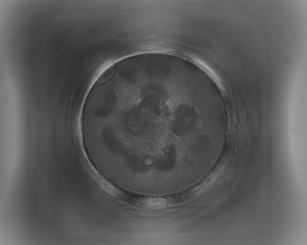 X0000111431291200907201101