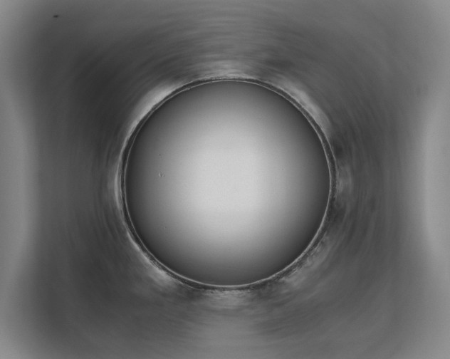 X0000111431293200907201101