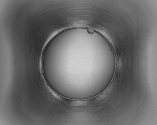 X0000111431294200907201101