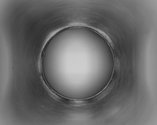 X0000111431295200907201101