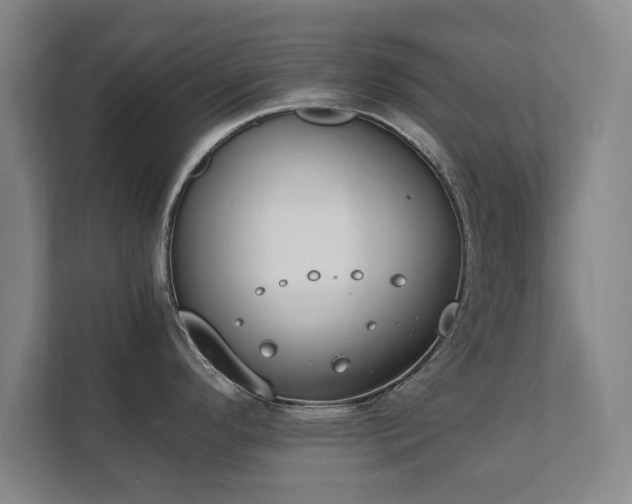 X0000111431296200907201101