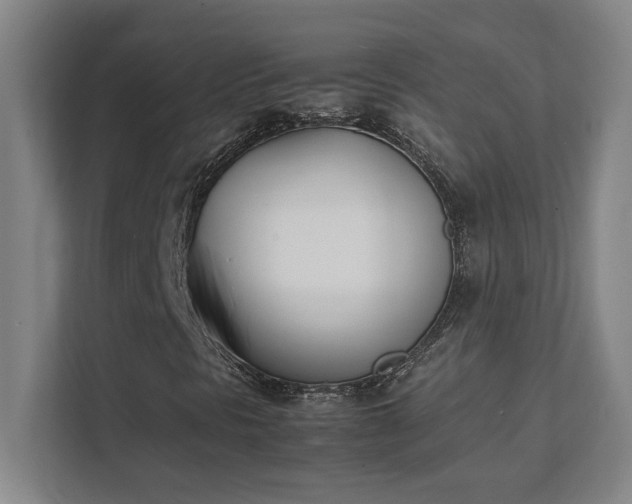 X0000111431297200907201100