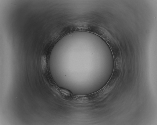 X0000111431298200907201100