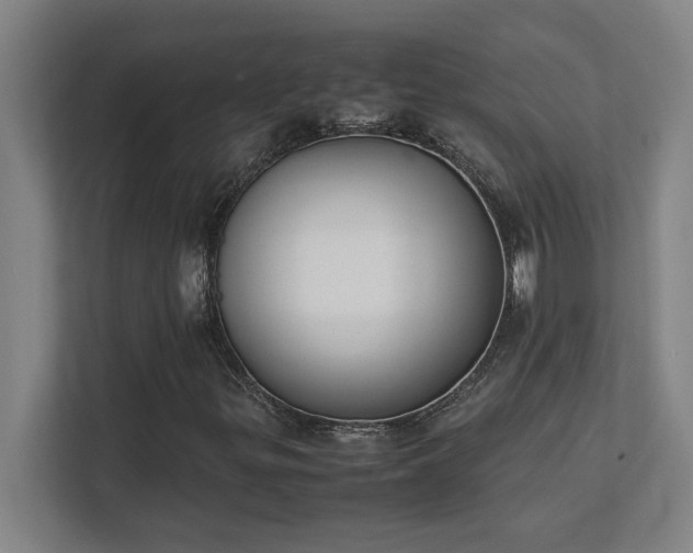 X0000111431299200907201100