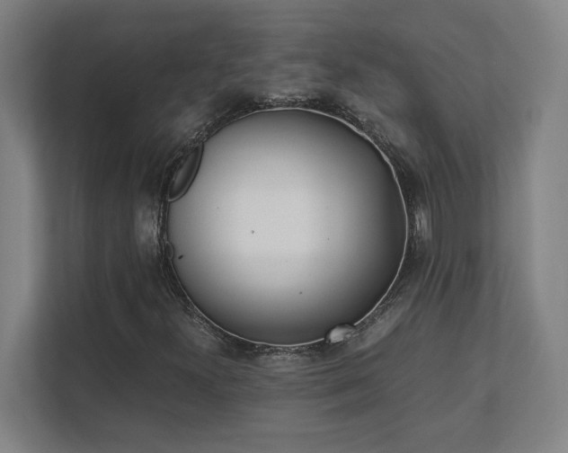 X0000111431300200907201100