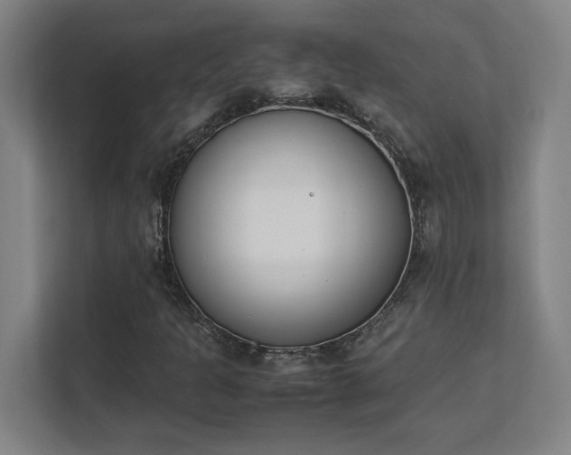 X0000111431301200907201100