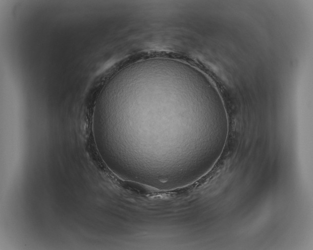 X0000111431303200907201100