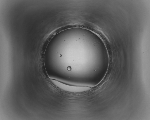 X0000111431304200907201100