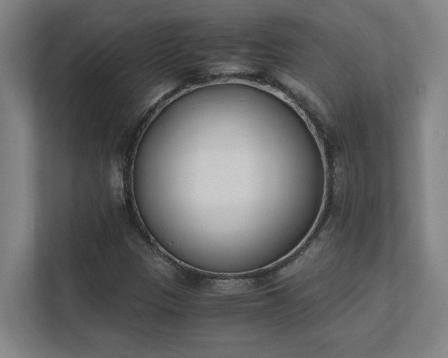 X0000111431305200907201100