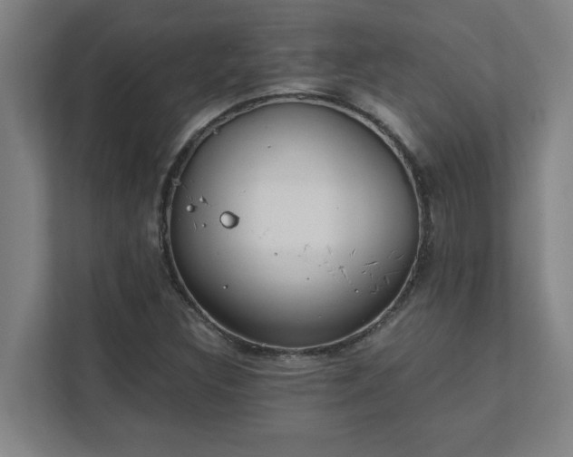 X0000111431308200907201100