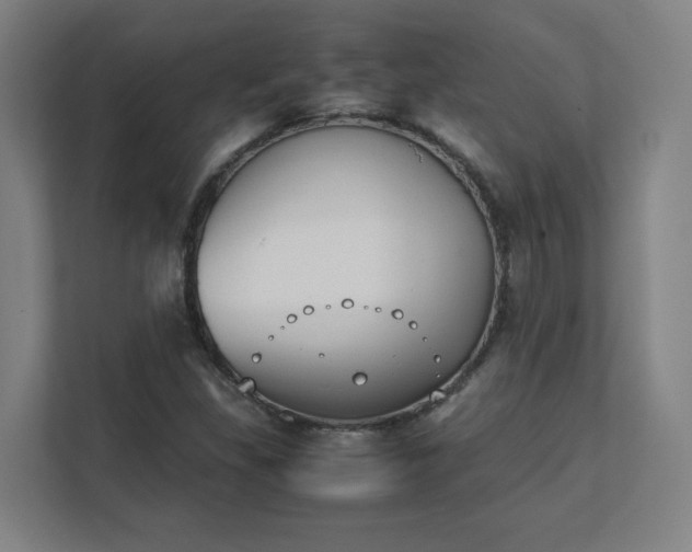 X0000111431309200907201100