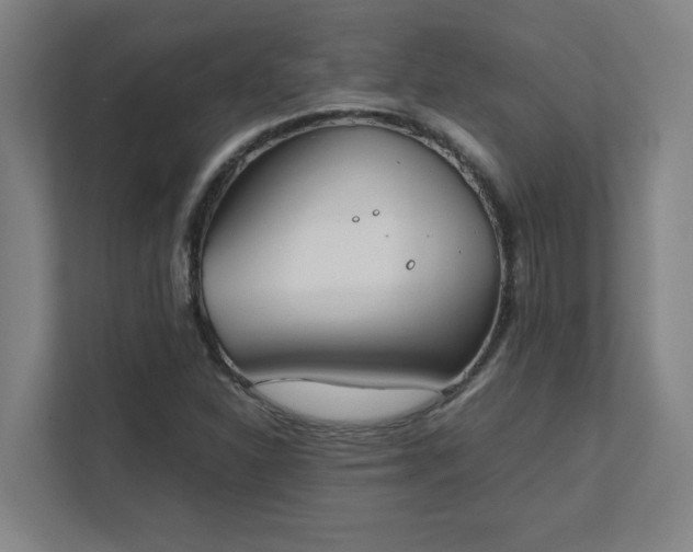 X0000111431310200907201100