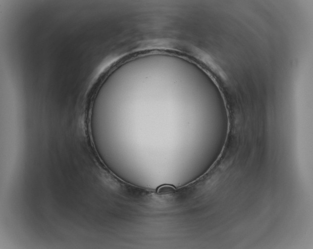 X0000111431312200907201100