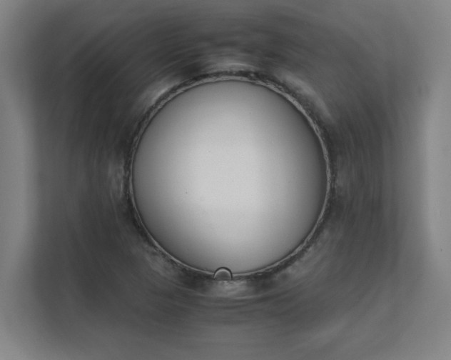 X0000111431313200907201100