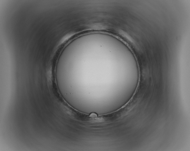 X0000111431315200907201100