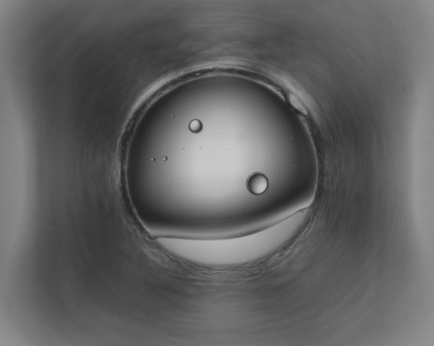 X0000111431316200907201100