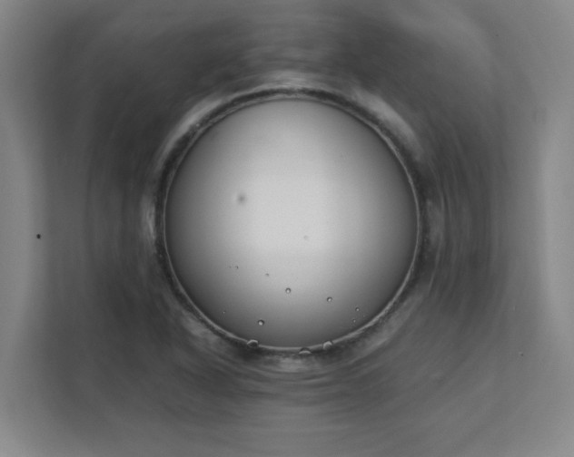 X0000111431318200907201100