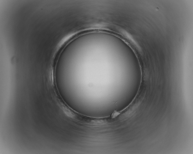 X0000111431320200907201100