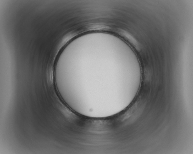 X0000111431322200907201100