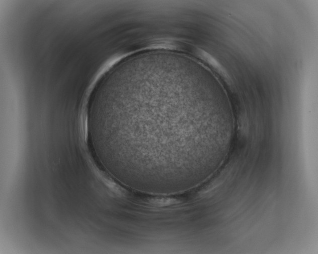 X0000111431323200907201100