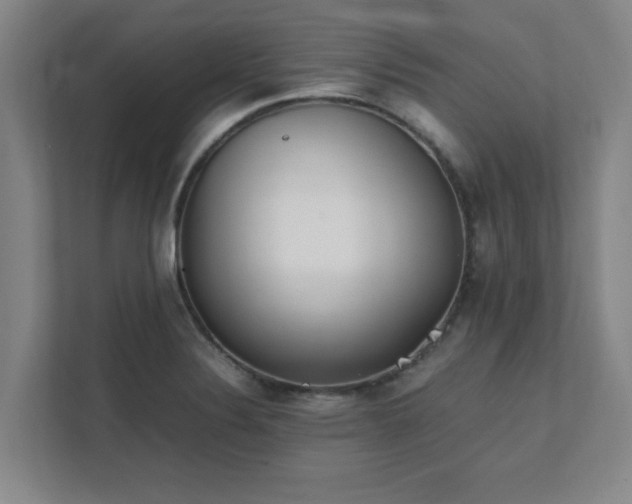 X0000111431324200907201100