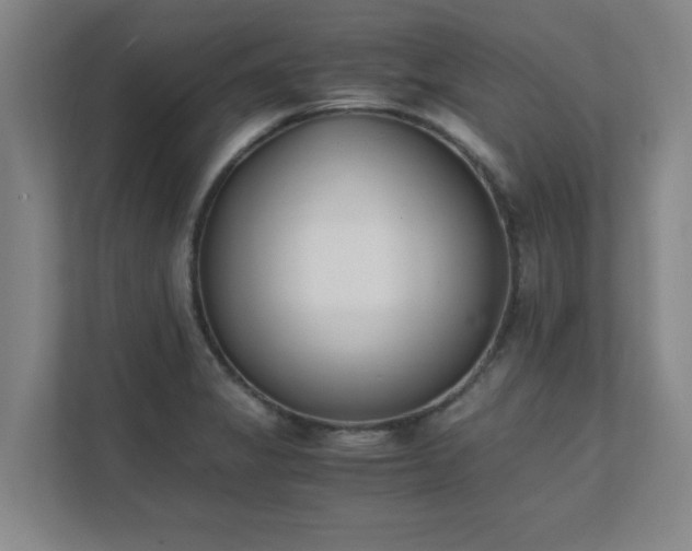 X0000111431325200907201100