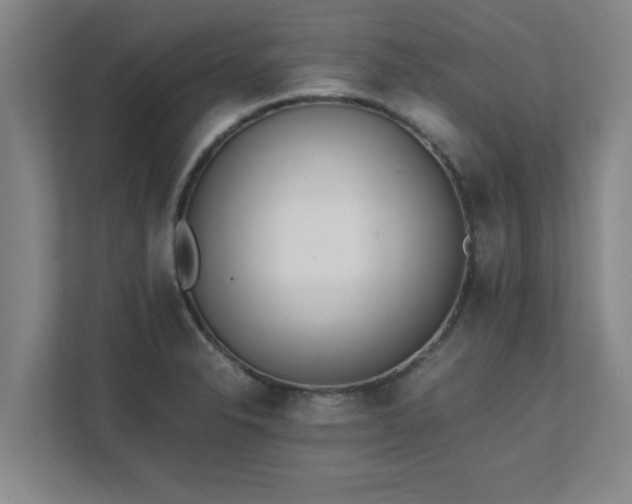 X0000111431326200907201100