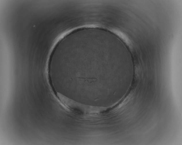 X0000111431327200907201100