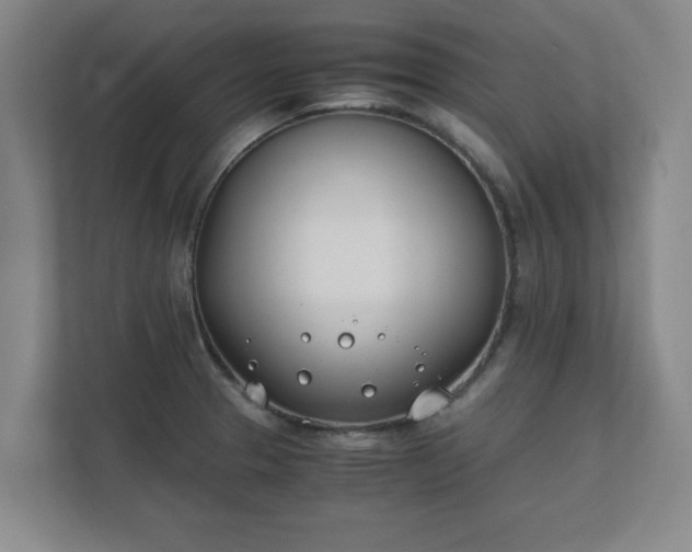 X0000111431329200907201100