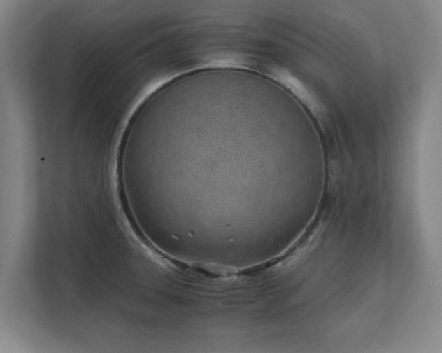 X0000111431331200907201100