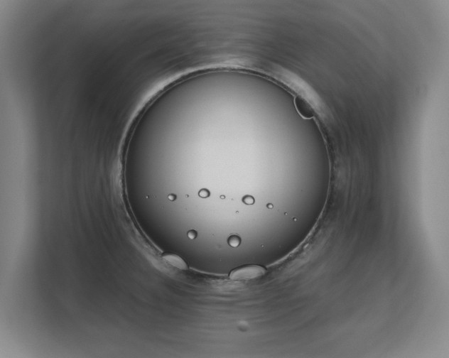 X0000111431332200907201100