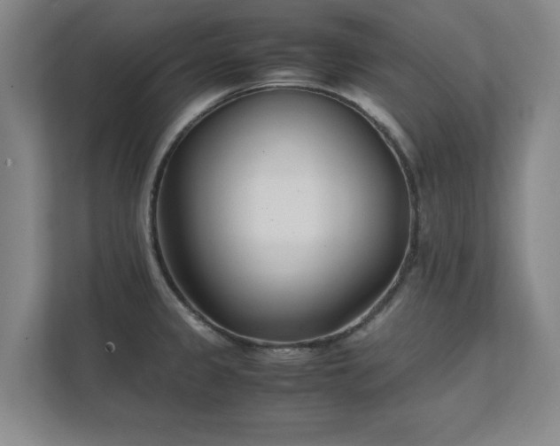 X0000111431333200907201100