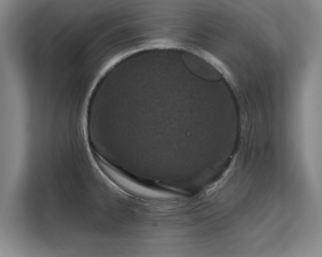 X0000111431334200907201100