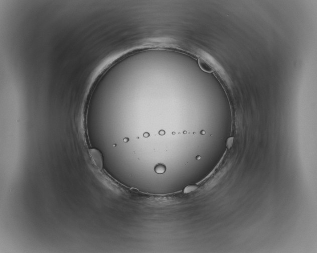 X0000111431336200907201100