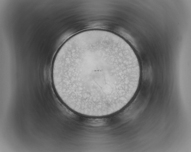 X0000111431338200907201101