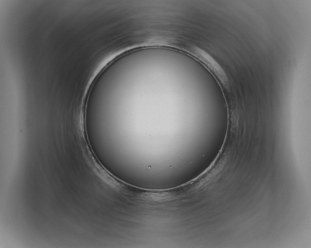 X0000111431340200907201101