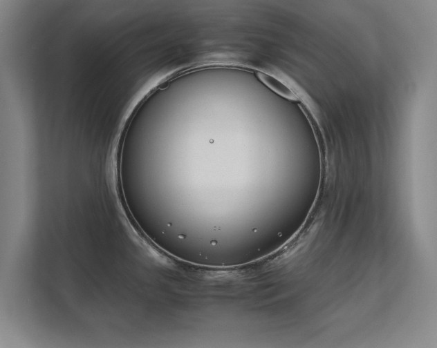 X0000111431341200907201101