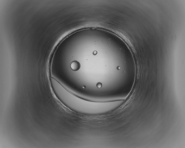 X0000111431342200907201101