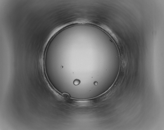 X0000111431343200907201101